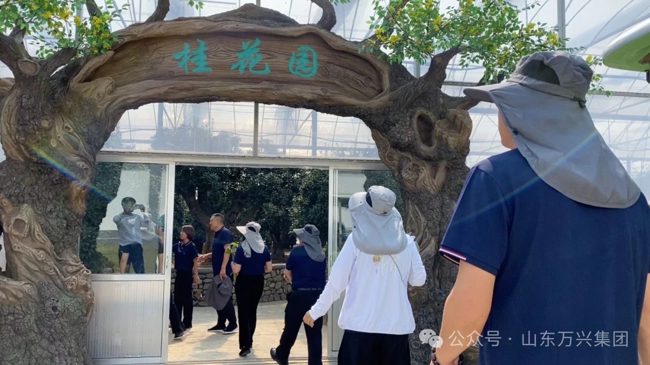 豪利777(OLE777)官方网站
