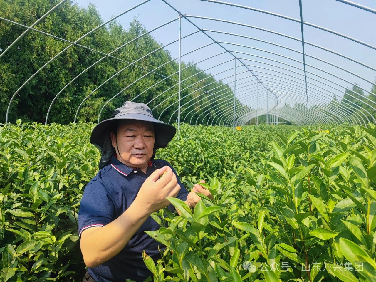 豪利777(OLE777)官方网站