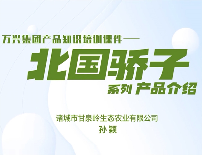 北国宠儿