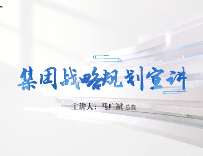 马广斌总裁关于豪利777战术的汇报
