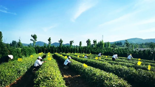 豪利777(OLE777)官方网站