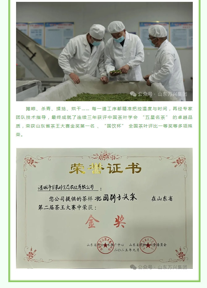 豪利777(OLE777)官方网站