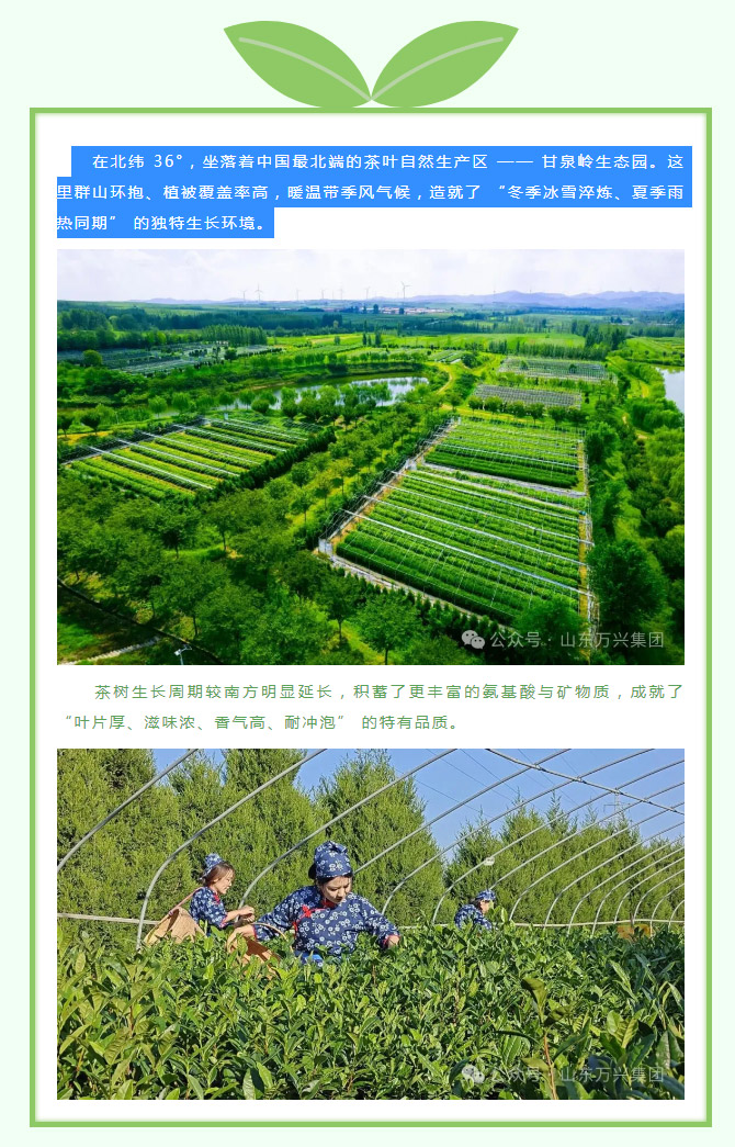 豪利777(OLE777)官方网站