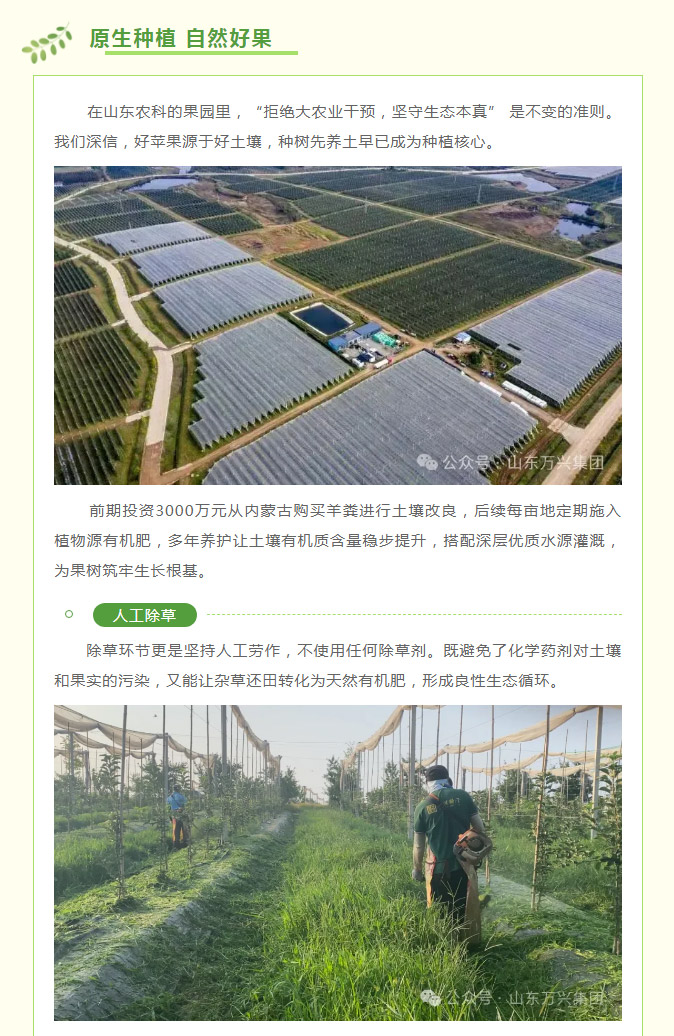 豪利777(OLE777)官方网站