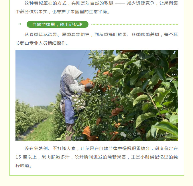 豪利777(OLE777)官方网站
