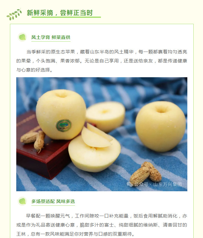 豪利777(OLE777)官方网站