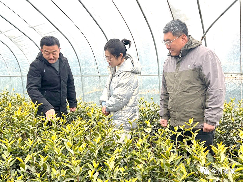 豪利777(OLE777)官方网站