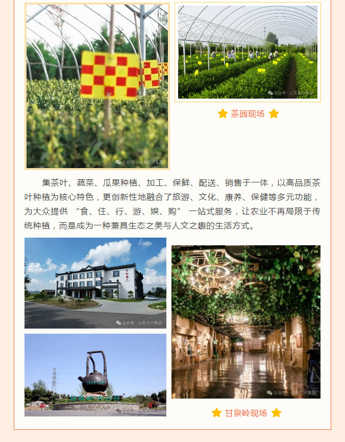 豪利777(OLE777)官方网站