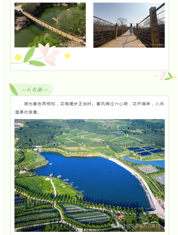 豪利777(OLE777)官方网站