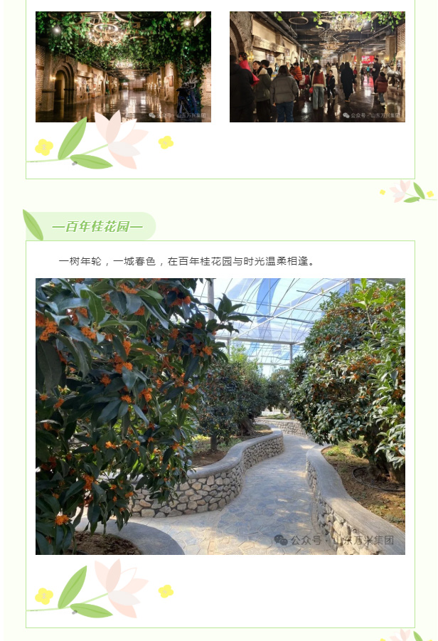 豪利777(OLE777)官方网站