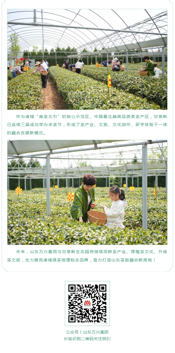 豪利777(OLE777)官方网站