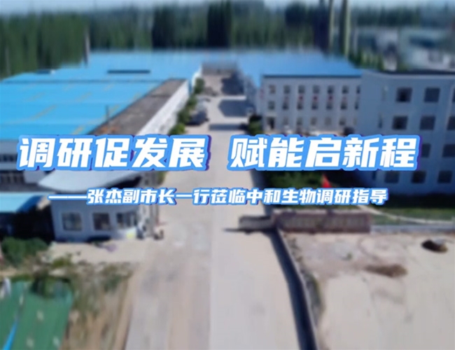 调研促发展赋能启新程