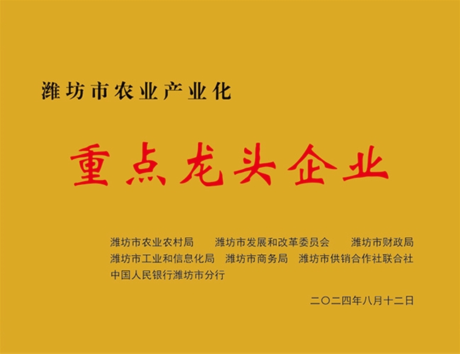 沉点龙头企业